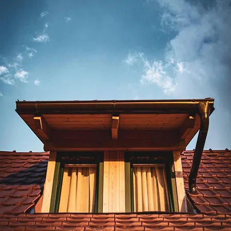 Starry Sky Zlatibor Holiday home