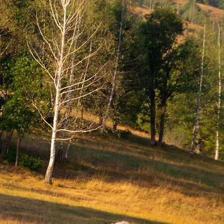 Holiday home Starry Sky Zlatibor Krajevi